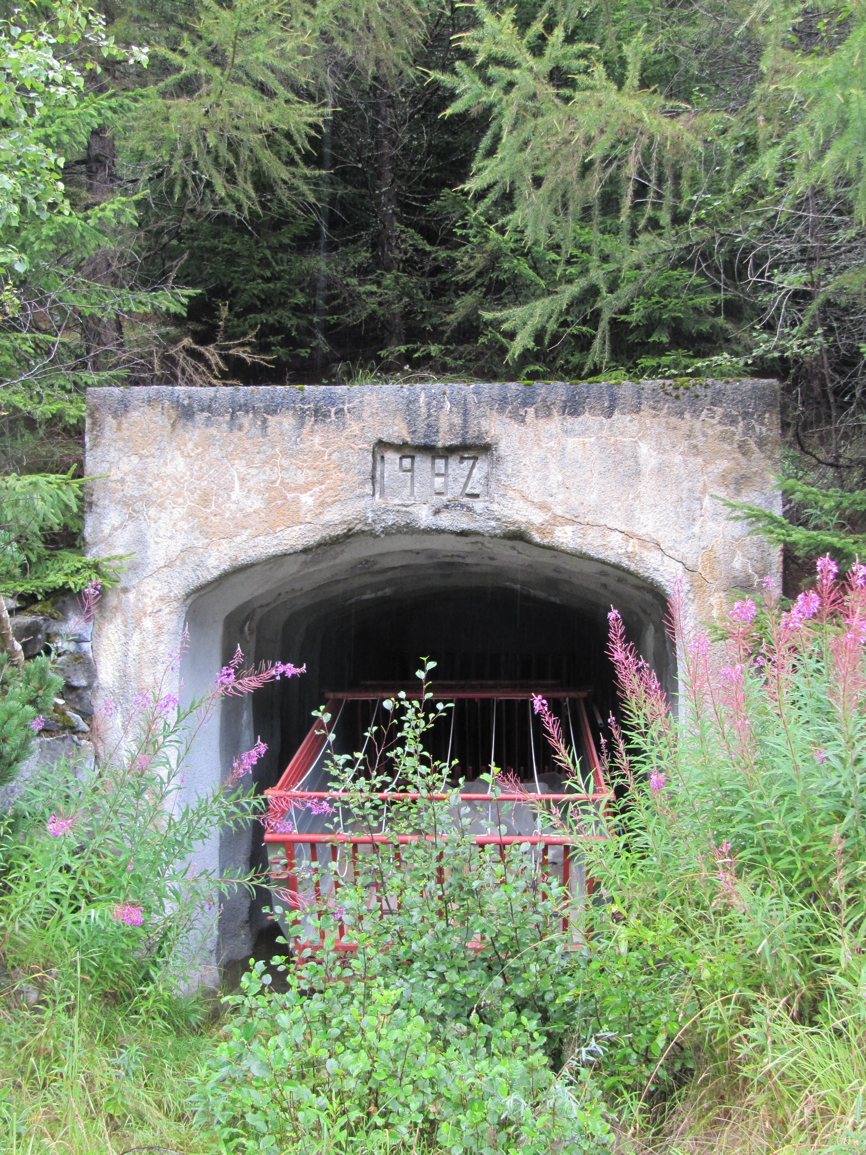 2013 - Abandonment